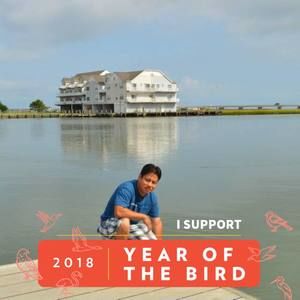 Meet your Posher, Dhongany